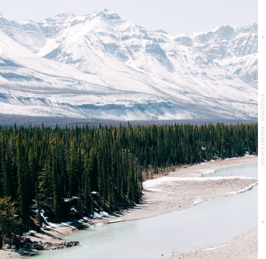 bird-view-forest-with-mountain